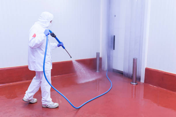 Best Oil Spill Cleanup  in The Hills, NJ