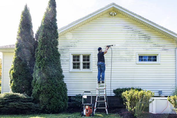 Best Building Exterior Washing  in The Hills, NJ